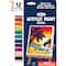 Crayola® Acrylic Paint Doodle Sticks, 2 Packs of 12